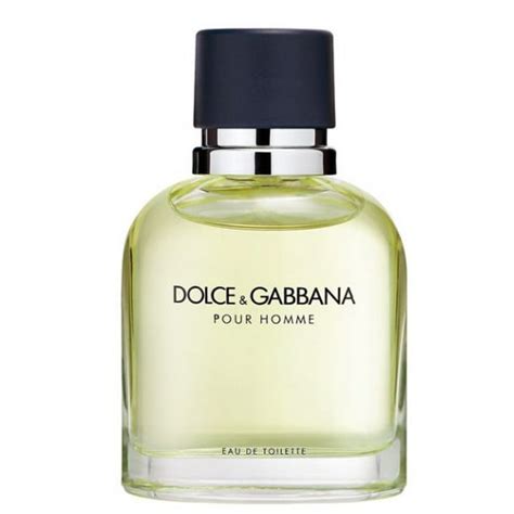 dolce gabbana parfum homme l& 39|dolce and gabbana pour homme eau de toilette.